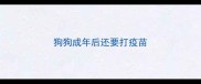 狗狗成年后还要打疫苗