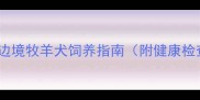 边牧出售最佳年龄边境牧羊犬饲养指南附健康检查与疫苗接种建议