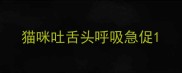 猫咪吐舌头呼吸急促