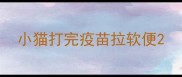 小猫打完疫苗拉软便