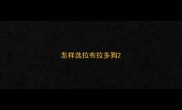 怎样选拉布拉多狗