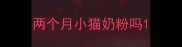 两个月小猫奶粉吗