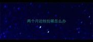 两个月边牧拉稀怎么办
