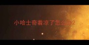 小哈士奇着凉了怎么办