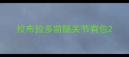 拉布拉多前腿关节有包