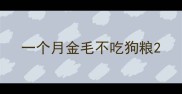 一个月金毛不吃狗粮