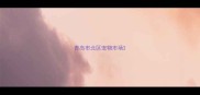 青岛市北区宠物市场