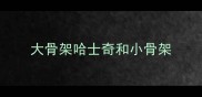 大骨架哈士奇和小骨架