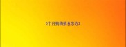 5个月狗狗挑食怎办