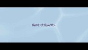 猫咪打完疫苗歪头