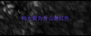 哈士奇为什么有红色