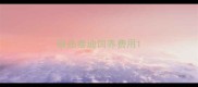 极品泰迪饲养费用