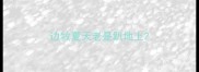 边牧夏天老是趴地上