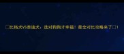 比格犬VS泰迪犬选对狗狗才幸福最全对比攻略来了