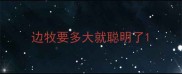 边牧要多大就聪明了
