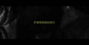 萨摩耶狗狗的照片