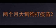 两个月大狗狗打疫苗