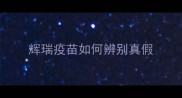 辉瑞疫苗如何辨别真假