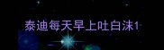 泰迪每天早上吐白沫