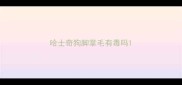 哈士奇狗脚掌毛有毒吗