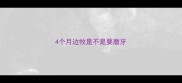 4个月边牧是不是要磨牙