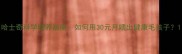 哈士奇科学喂养指南如何用30元月喂出健康毛孩子