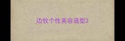 边牧个性美容造型