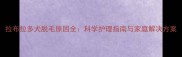 拉布拉多犬脱毛原因全科学护理指南与家庭解决方案