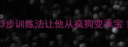 哈士奇拆家咬人3步训练法让他从疯狗变乖宝新手养宠必看攻略