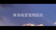 珠海喧爱宠物医院