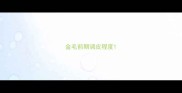 金毛前期调皮程度