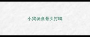 小狗误食骨头打嗝