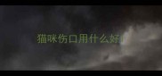 猫咪伤口用什么好