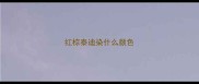 红棕泰迪染什么颜色