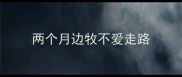 两个月边牧不爱走路