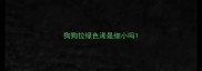 狗狗拉绿色浠是细小吗