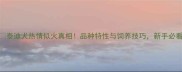 泰迪犬热情似火真相品种特性与饲养技巧新手必看