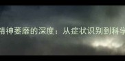 边牧食欲减退与精神萎靡的深度从症状识别到科学调理的完整指南