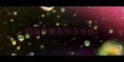 奶油色拉布拉多长成
