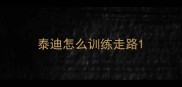 泰迪怎么训练走路