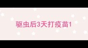 驱虫后3天打疫苗