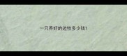 一只养好的边牧多少钱