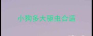 小狗多大驱虫合适