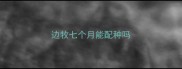 边牧七个月能配种吗