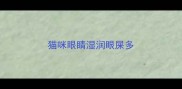 猫咪眼睛湿润眼屎多