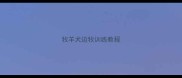 牧羊犬边牧训练教程