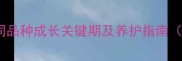 狗狗成年时间表不同品种成长关键期及养护指南附成年后护理清单