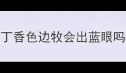 丁香色边牧会出蓝眼吗