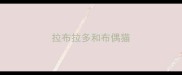 拉布拉多和布偶猫