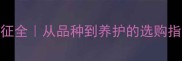 新手必看小狗特征全从品种到养护的选购指南附超全对比表